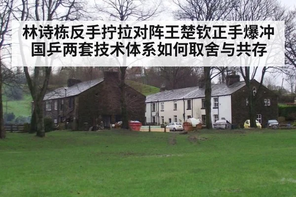 林诗栋反手拧拉对阵王楚钦正手爆冲 国乒两套技术体系如何取舍与共存